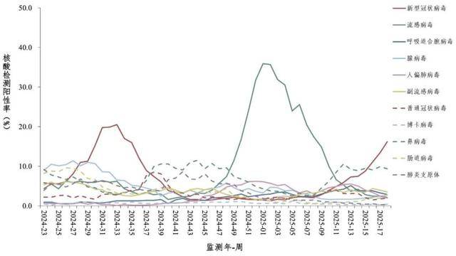 _高峰_病毒_呼吸道EVO视讯新冠又来(图7)