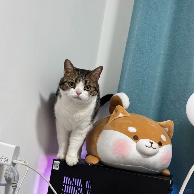 !思路打开后生活难题迎刃而解了EVO视讯“湿巾盖子”隐藏用法(图26) !思路打开后生活难题迎刃而解了EVO视讯“湿巾盖子”隐藏用法(图26)